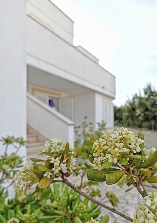 Residence Bellevue Santa Maria di Leuca Exterior foto